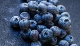 Berry-boom-i-ekriktiki-antioxidotiki
