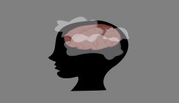 Brain-fog-meta-ta-50