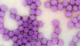 HPV-ena-emvolio-pou-mas
