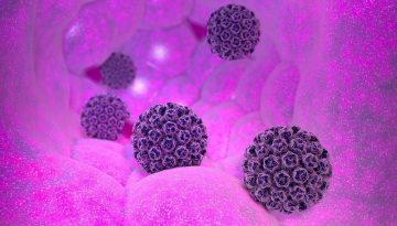 HPV: &Eta; &Epsilon;&lambda;&lambda;ά&delta;&alpha; &mu;&pi;&omicron;&rho;&epsilon;ί &nu;&alpha; &mu;&epsilon;&iota;ώ&sigma;&epsilon;&iota; &tau;&omicron;&upsilon;&sigmaf; &sigma;&chi;&epsilon;&tau;&iota;&zeta;ό&mu;&epsilon;&nu;&omicron;&upsilon;&sigmaf; &kappa;&alpha;&rho;&kappa;ί&nu;&omicron;&upsilon;&sigmaf;