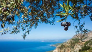 Sea Diet για ευζωία και μακροζωία