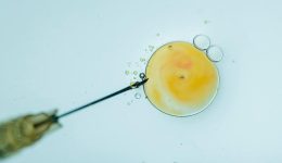 i-therapies-ipogonimotitas-den-sindeonte