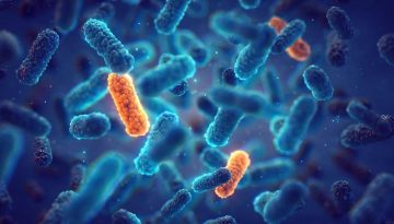 Νέο γρήγορο τεστ για ανθεκτικά βακτήρια στα νοσοκομεία