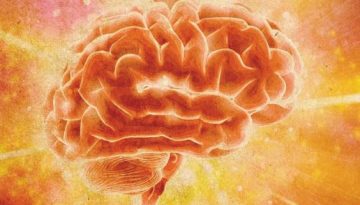 Πιο κοφτερό μυαλό και δυνατό σώμα με… ψεύτικο συμπλήρωμα