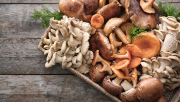 Πόσο υγιεινά είναι τα μανιτάρια;