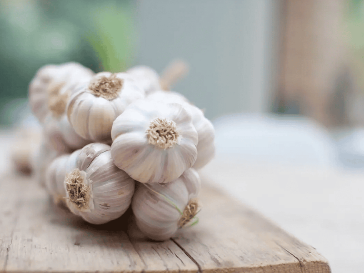 Σκόρδο: Τα πολλαπλά οφέλη του για τον οργανισμό