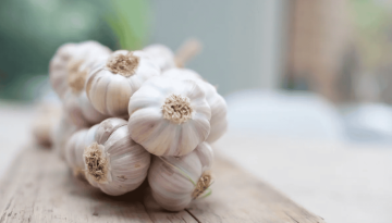 Σκόρδο: Τα πολλαπλά οφέλη του για τον οργανισμό