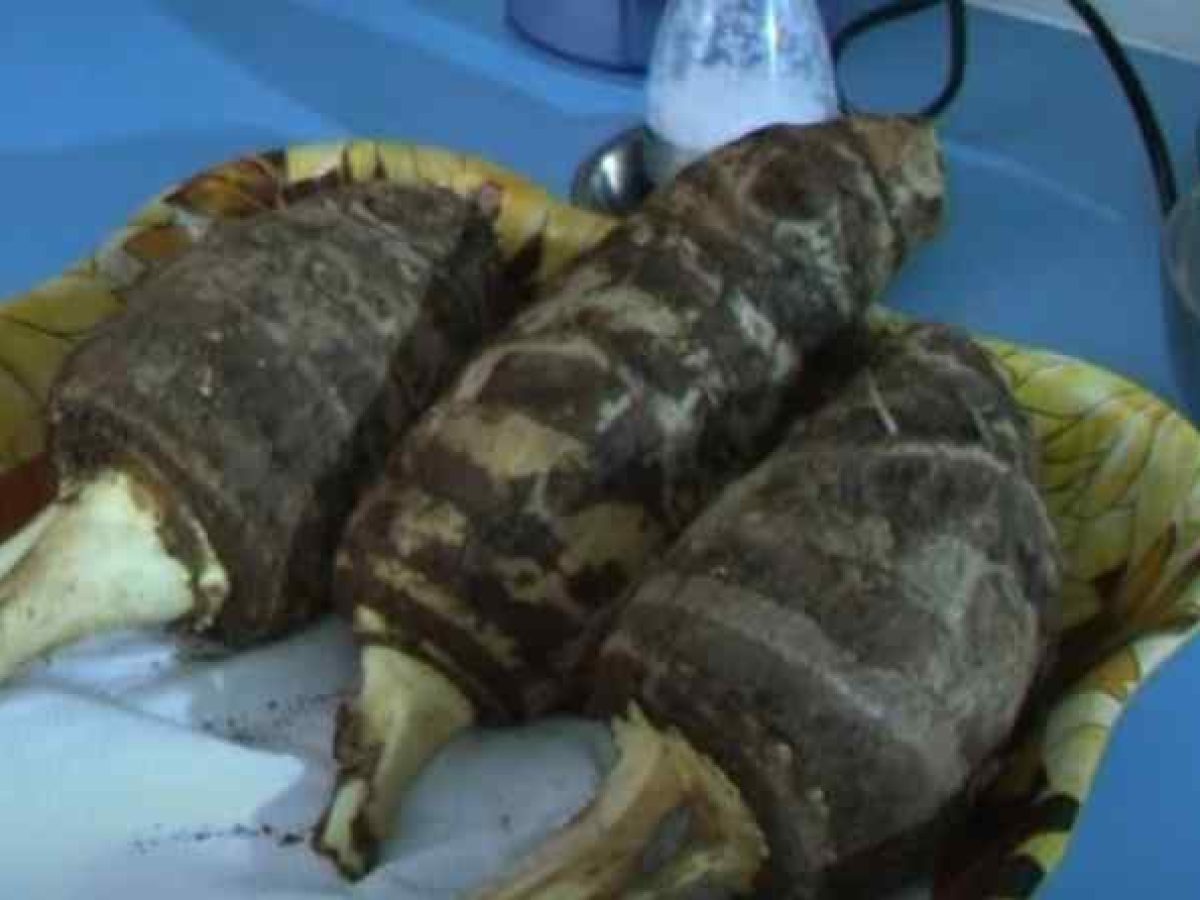 Τo μυστικό της μακροζωίας των Ικαριωτών: Η υπερτροφή που θεωρείται…μαγικός ζωμός