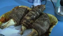 to-mistiko-tis-makrozoias-ton
