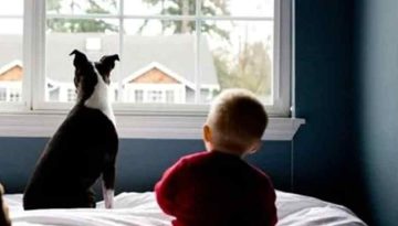 Αγάπη χωρίς όρια: Γιατί μπορούμε να αγαπάμε το ίδιο παιδιά και κατοικίδια