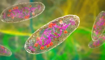 Ανησυχητική αύξηση κρουσμάτων φυματίωσης: Συμπτώματα, μετάδοση και η σημασία της διάγνωσης