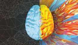 Αristero-vs-dexio-imisferio-egkefalou