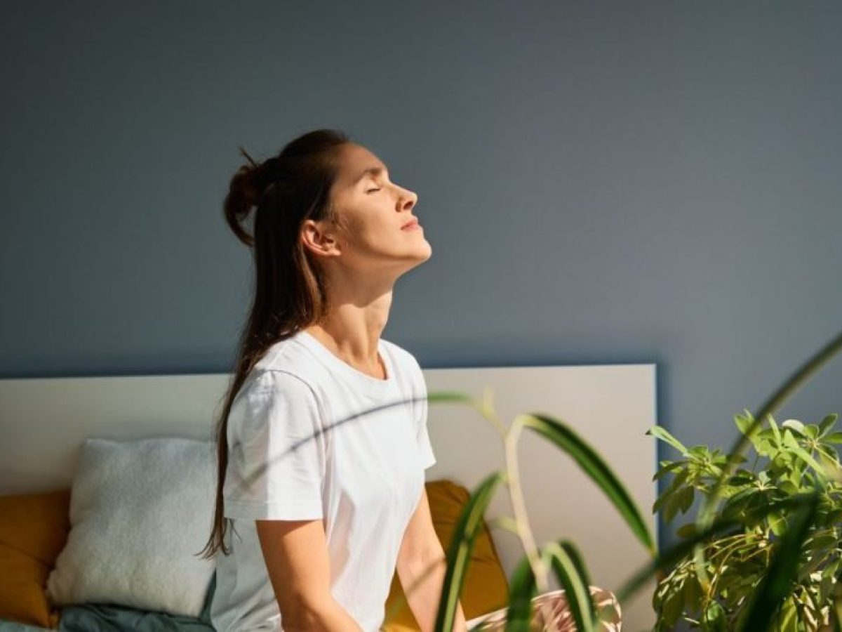 Adaptogens: Το φυσικό «αντίδοτο» στο στρες