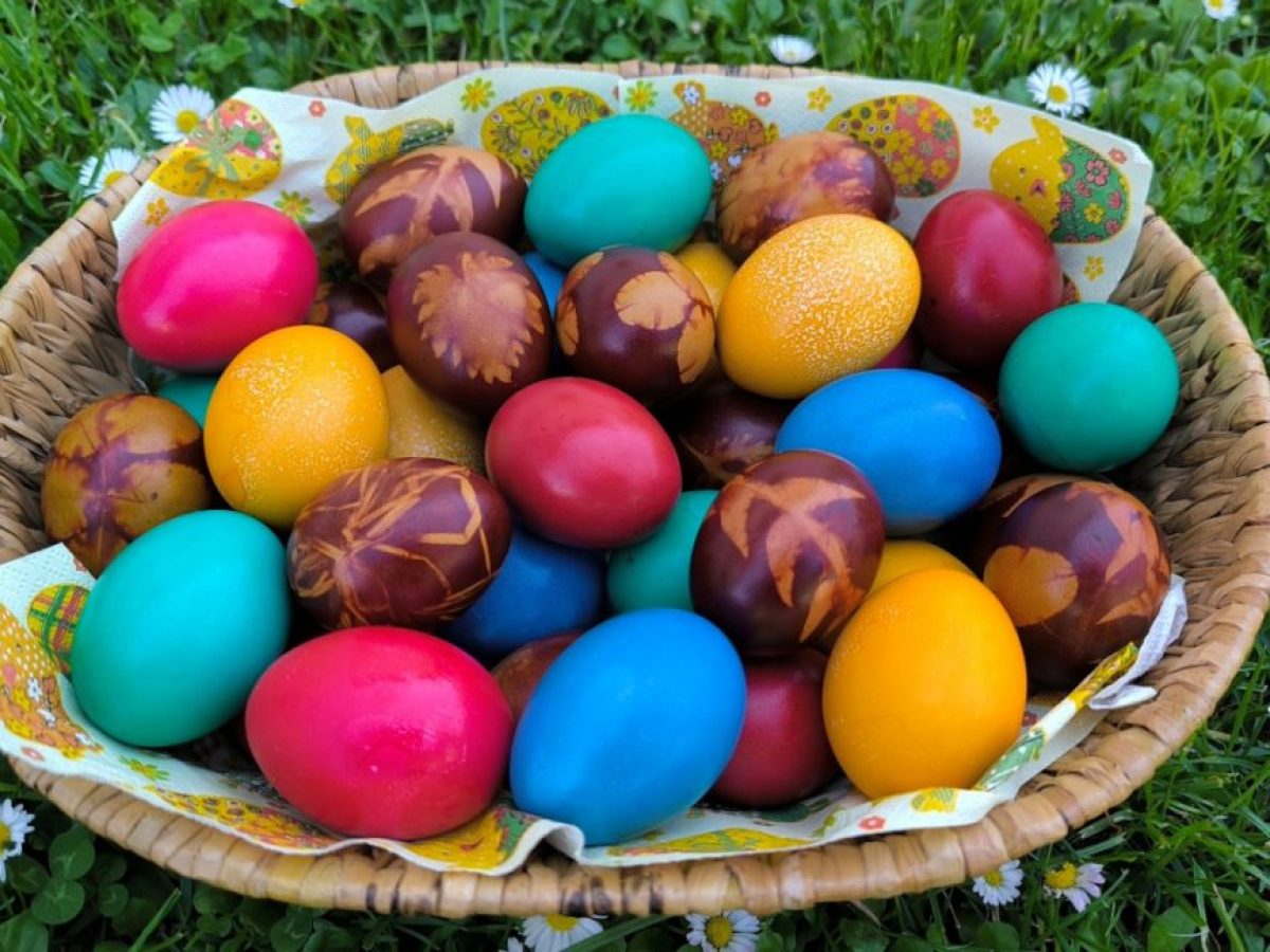 Αυγά και Πάσχα: Όσα πρέπει να γνωρίζετε για την ασφάλειά σας – Από το βράσιμο και το βάψιμο μέχρι τη συντήρηση