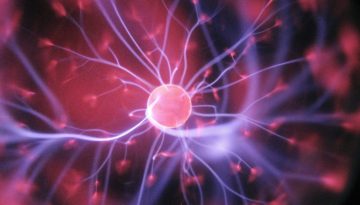 Δίαιτα Mind: Οι 10 τροφές που προστατεύουν το μυαλό και τον εγκέφαλο