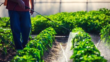 Φυτοφάρμακα και υγεία: Κίνδυνος καρκίνου έως και 150% μεγαλύτερος