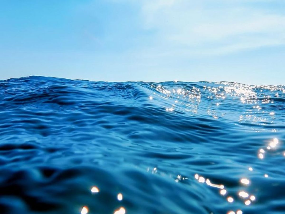 ΟΗΕ: Προστατευόμενες περιοχές το ένα δέκατο των ωκεανών