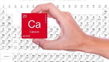 Πηγές ασβεστίου: Οι τροφές που ξεπερνούν το γάλα σε απορρόφηση