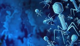 therapia-me-vaktiriofagous-elpida-apenanti