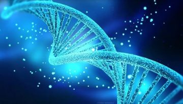 Ανάλυση αρχαίου DNA ρίχνει φως στο πώς λειτουργούν οι εξελικτικές πιέσεις