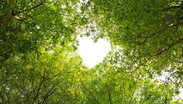 Green noise: Τι είναι και γιατί θα γίνει το αγαπημένο σας sleep hack