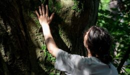 dasotherapia-i-fisiki-sintagi-gia