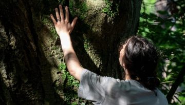 Δασοθεραπεία: Η φυσική συνταγή για σώμα και νου