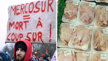 Θετικό στη σαλμονέλα το 80% των ελεγχόμενων πουλερικών από τη Βραζιλία| Ερωτήματα για τους ελέγχους και τη συμφωνία Mercosur