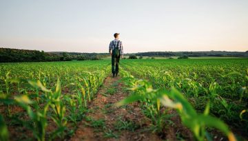 Από τον κυνηγό-τροφοσυλλέκτη στο σήμερα: Τι γράφει η γεωργία στο DNA μας;