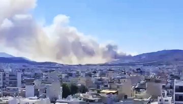 14 &alpha;&sigma;&theta;&epsilon;&nu;&epsilon;ί&sigmaf; &alpha;&pi;ό &tau;&omicron; &Delta;&alpha;&phi;&nu;ί &sigma;&tau;&omicron; &Alpha;&tau;&tau;&iota;&kappa;ό&nu; &mu;&epsilon; &alpha;&nu;&alpha;&pi;&nu;&epsilon;&upsilon;&sigma;&tau;&iota;&kappa;ά &pi;&rho;&omicron;&beta;&lambda;ή&mu;&alpha;&tau;&alpha; &lambda;ό&gamma;&omega; &tau;&eta;&sigmaf; &pi;&upsilon;&rho;&kappa;&alpha;&gamma;&iota;ά&sigmaf; &sigma;&tau;&omicron; &Alpha;&iota;&gamma;ά&lambda;&epsilon;&omega;