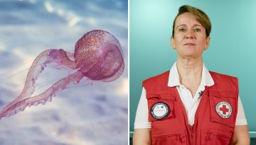 &Tau;&sigma;ί&mu;&pi;&eta;&mu;&alpha; &alpha;&pi;ό &mu;&omega;&beta; &mu;έ&delta;&omicron;&upsilon;&sigma;&alpha;: &Tau;&iota; &pi;&rho;έ&pi;&epsilon;&iota; &nu;&alpha; &kappa;ά&nu;&epsilon;&tau;&epsilon; &kappa;&alpha;&iota; &tau;&iota; &nu;&alpha; &alpha;&pi;&omicron;&phi;ύ&gamma;&epsilon;&tau;&epsilon; &ndash; &Omicron;&delta;&eta;&gamma;ί&epsilon;&sigmaf; &alpha;&pi;ό &tau;&omicron;&nu; &Epsilon;&lambda;&lambda;&eta;&nu;&iota;&kappa;ό &Epsilon;&rho;&upsilon;&theta;&rho;ό &Sigma;&tau;&alpha;&upsilon;&rho;ό