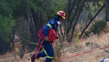 &Delta;&alpha;&phi;&nu;ί: &Sigma;&epsilon; &epsilon;&tau;&omicron;&iota;&mu;ό&tau;&eta;&tau;&alpha; &gamma;&iota;&alpha; &pi;&rho;&omicron;&lambda;&eta;&pi;&tau;&iota;&kappa;ή &epsilon;&kappa;&kappa;έ&nu;&omega;&sigma;&eta; &mu;&epsilon;&tau;ά &tau;&eta; &phi;&omega;&tau;&iota;ά &sigma;&tau;&eta;&nu; &Pi;&epsilon;&rho;&iota;&phi;&epsilon;&rho;&epsilon;&iota;&alpha;&kappa;ή &Alpha;&iota;&gamma;ά&lambda;&epsilon;&omega;