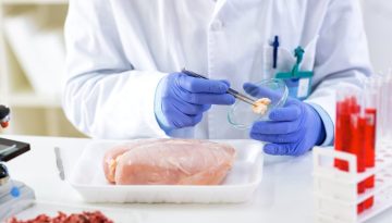 &Kappa;&rho;&omicron;ύ&sigma;&mu;&alpha;&tau;&alpha; &sigma;&alpha;&lambda;&mu;&omicron;&nu;έ&lambda;&alpha;&sigmaf; &sigma;&tau;&eta;&nu; &Kappa;&alpha;&sigma;&tau;&omicron;&rho;&iota;ά: &Sigma;&epsilon; &alpha;&upsilon;&xi;&eta;&mu;έ&nu;&eta; &epsilon;&tau;&omicron;&iota;&mu;ό&tau;&eta;&tau;&alpha; &tau;&omicron; &nu;&omicron;&sigma;&omicron;&kappa;&omicron;&mu;&epsilon;ί&omicron;