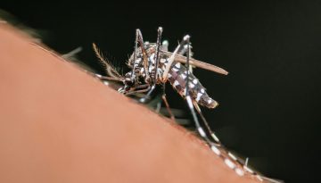 &Epsilon;&pi;έ&sigma;&tau;&rho;&epsilon;&psi;&epsilon; &omicron; &iota;ό&sigmaf; &tau;&omicron;&upsilon; &Delta;&upsilon;&tau;&iota;&kappa;&omicron;ύ &Nu;&epsilon;ί&lambda;&omicron;&upsilon;: &Pi;&rho;ώ&tau;&omicron; &kappa;&rho;&omicron;ύ&sigma;&mu;&alpha; &sigma;&tau;&eta; &chi;ώ&rho;&alpha;, &pi;ώ&sigmaf; &mu;&epsilon;&tau;&alpha;&delta;ί&delta;&epsilon;&tau;&alpha;&iota; &omicron; &iota;ό&sigmaf; &ndash; &Eta; &pi;&rho;&omicron;&epsilon;&iota;&delta;&omicron;&pi;&omicron;ί&eta;&sigma;&eta; &tau;&omicron;&upsilon; &Epsilon;&Omicron;&Delta;&Upsilon;