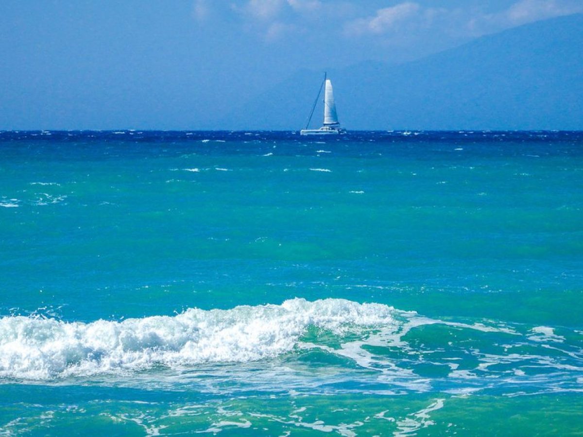 Η θεραπευτική δύναμη της θάλασσας: Πώς το «Blue Mind» βοηθά ανθρώπους να ξεπεράσουν το τραύμα, το άγχος και την κατάθλιψη