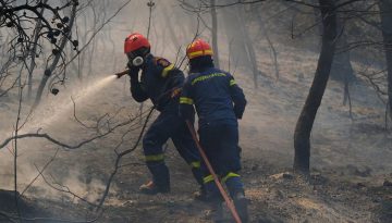 &Eta; &Alpha;&tau;&tau;&iota;&kappa;ή &chi;ά&nu;&epsilon;&tau;&alpha;&iota; &sigma;&tau;&iota;&sigmaf; &phi;&lambda;ό&gamma;&epsilon;&sigmaf;: &Tau;&omicron; 42% &tau;&omega;&nu; &delta;&alpha;&sigma;ώ&nu; &tau;&eta;&sigmaf; &kappa;ά&eta;&kappa;&alpha;&nu; &sigma;&epsilon; &mu;&iota;&alpha; &delta;&epsilon;&kappa;&alpha;&epsilon;&tau;ί&alpha;