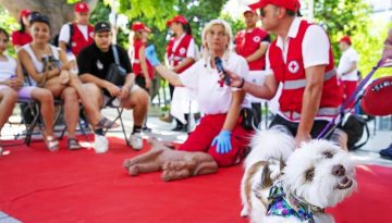 O &Epsilon;&Epsilon;&Sigma; &tau;ί&mu;&eta;&sigma;&epsilon; &tau;&eta;&nu; &Pi;&alpha;&gamma;&kappa;ό&sigma;&mu;&iota;&alpha; &Eta;&mu;έ&rho;&alpha; &Sigma;&kappa;ύ&lambda;&omicron;&upsilon; &mu;&epsilon; &delta;&rho;ά&sigma;&eta; &gamma;&iota;&alpha; &tau;&omicron;&upsilon;&sigmaf; &tau;&epsilon;&tau;&rho;ά&pi;&omicron;&delta;&omicron;&upsilon;&sigmaf; &phi;ί&lambda;&omicron;&upsilon;&sigmaf; &mu;&alpha;&sigmaf; &sigma;&tau;&eta;&nu; &pi;&lambda;&alpha;&tau;&epsilon;ί&alpha; &Sigma;&upsilon;&nu;&tau;ά&gamma;&mu;&alpha;&tau;&omicron;&sigmaf;