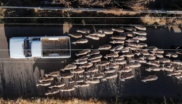 EL &ndash; Έ&kappa;&tau;&alpha;&kappa;&tau;&alpha; &mu;έ&tau;&rho;&alpha; &sigma;&tau;&eta;&nu; &Kappa;&alpha;&sigma;&tau;&omicron;&rho;&iota;ά &mu;&epsilon;&tau;ά &alpha;&pi;ό &kappa;&rho;&omicron;ύ&sigma;&mu;&alpha;&tau;&alpha; &epsilon;&upsilon;&lambda;&omicron;&gamma;&iota;ά&sigmaf; &alpha;&iota;&gamma;&omicron;&pi;&rho;&omicron;&beta;ά&tau;&omega;&nu;