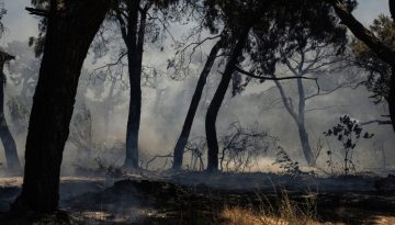 &Kappa;&alpha;&pi;&nu;ό&sigmaf; &alpha;&pi;ό &tau;&iota;&sigmaf; &pi;&upsilon;&rho;&kappa;&alpha;&gamma;&iota;έ&sigmaf;: &Omicron;&iota; 6 &omicron;&delta;&eta;&gamma;ί&epsilon;&sigmaf; &tau;&omega;&nu; &epsilon;&iota;&delta;&iota;&kappa;ώ&nu; &gamma;&iota;&alpha; &nu;&alpha; &pi;&rho;&omicron;&sigma;&tau;&alpha;&tau;&epsilon;ύ&sigma;&epsilon;&tau;&epsilon; &tau;&eta;&nu; &upsilon;&gamma;&epsilon;ί&alpha; &sigma;&alpha;&sigmaf;