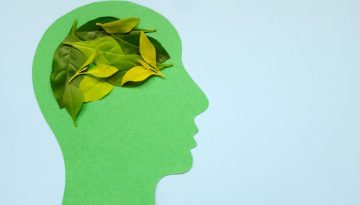 &Epsilon;&gamma;&kappa;&epsilon;&phi;&alpha;&lambda;ί&tau;&iota;&delta;&alpha; &kappa;&alpha;&iota; ά&nu;&omicron;&iota;&alpha;: &Eta; &phi;&lambda;&epsilon;&gamma;&mu;&omicron;&nu;ή &pi;&omicron;&upsilon; &mu;&pi;&omicron;&rho;&epsilon;ί &nu;&alpha; &alpha;&phi;ή&nu;&epsilon;&iota; &laquo;&sigma;&kappa;&iota;ά&raquo; &sigma;&tau;&omicron;&nu; &epsilon;&gamma;&kappa;έ&phi;&alpha;&lambda;&omicron; &gamma;&iota;&alpha; &chi;&rho;ό&nu;&iota;&alpha;