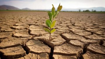 &Kappa;&alpha;&lambda;&omicron;&kappa;&alpha;&iota;&rho;&iota;&nu;ή &alpha;&phi;&upsilon;&delta;ά&tau;&omega;&sigma;&eta; &kappa;&alpha;&iota; &gamma;&alpha;&sigma;&tau;&rho;&epsilon;&nu;&tau;&epsilon;&rho;ί&tau;&iota;&delta;&alpha;: &Gamma;&iota;&alpha;&tau;ί &tau;&omicron; &nu;&epsilon;&rho;ό &delta;&epsilon;&nu; &epsilon;ί&nu;&alpha;&iota; &pi;ά&nu;&tau;&alpha; &alpha;&rho;&kappa;&epsilon;&tau;ό
