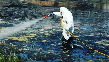 &Sigma;&upsilon;&nu;&alpha;&gamma;&epsilon;&rho;&mu;ό&sigmaf; &sigma;&tau;&eta;&nu; &Alpha;&tau;&tau;&iota;&kappa;ή &gamma;&iota;&alpha; &tau;&alpha; &kappa;&omicron;&upsilon;&nu;&omicron;ύ&pi;&iota;&alpha; &ndash; &Alpha;&upsilon;&xi;ά&nu;&omicron;&nu;&tau;&alpha;&iota; &kappa;&alpha;&tau;ά 30% &omicron;&iota; &psi;&epsilon;&kappa;&alpha;&sigma;&mu;&omicron;ί &sigma;&epsilon; έ&delta;&alpha;&phi;&omicron;&sigmaf; &kappa;&alpha;&iota; &alpha;έ&rho;&alpha;