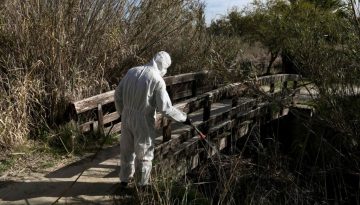 EL &ndash; &Alpha;&nu;&eta;&sigma;&upsilon;&chi;ί&alpha; &Iota;&Sigma;&Alpha; &gamma;&iota;&alpha; &alpha;&upsilon;&xi;&eta;&mu;έ&nu;&eta; &kappa;&upsilon;&kappa;&lambda;&omicron;&phi;&omicron;&rho;ί&alpha; &tau;&omicron;&upsilon; &iota;&omicron;ύ &tau;&omicron;&upsilon; &Delta;&upsilon;&tau;&iota;&kappa;&omicron;ύ &Nu;&epsilon;ί&lambda;&omicron;&upsilon; &sigma;&tau;&eta;&nu; &Alpha;&tau;&tau;&iota;&kappa;ή &ndash; &Tau;&alpha; 7 &mu;έ&tau;&rho;&alpha; &pi;&omicron;&upsilon; &sigma;&upsilon;&nu;&iota;&sigma;&tau;&omicron;ύ&nu; &omicron;&iota; &gamma;&iota;&alpha;&tau;&rho;&omicron;ί
