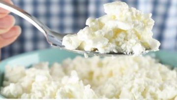 &Tau;&iota; &lambda;έ&epsilon;&iota; &eta; &epsilon;&pi;&iota;&sigma;&tau;ή&mu;&eta; &gamma;&iota;&alpha; &tau;&omicron; &tau;&upsilon;&rho;ί &kappa;ό&tau;&alpha;&tau;&zeta; &ndash; HealthyLiving.gr