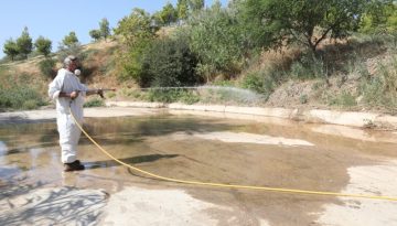 &Iota;ό&sigmaf; &tau;&omicron;&upsilon; &Delta;&upsilon;&tau;&iota;&kappa;&omicron;ύ &Nu;&epsilon;ί&lambda;&omicron;&upsilon;: 34 &nu;έ&alpha; &kappa;&rho;&omicron;ύ&sigma;&mu;&alpha;&tau;&alpha; &ndash; &Sigma;&tau;&omicron;&upsilon;&sigmaf; 30 &sigma;&upsilon;&nu;&omicron;&lambda;&iota;&kappa;ά &omicron;&iota; &theta;ά&nu;&alpha;&tau;&omicron;&iota;